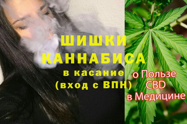 мескалин Каменка