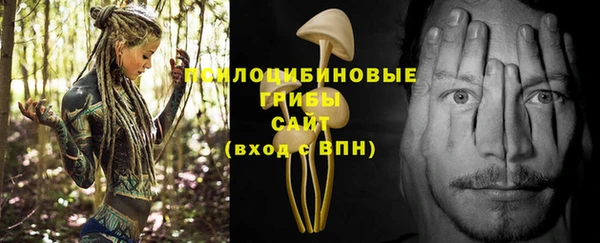 COCAINE Каменск-Шахтинский