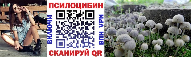 Псилоцибиновые грибы GOLDEN TEACHER Купить где Киселёвск